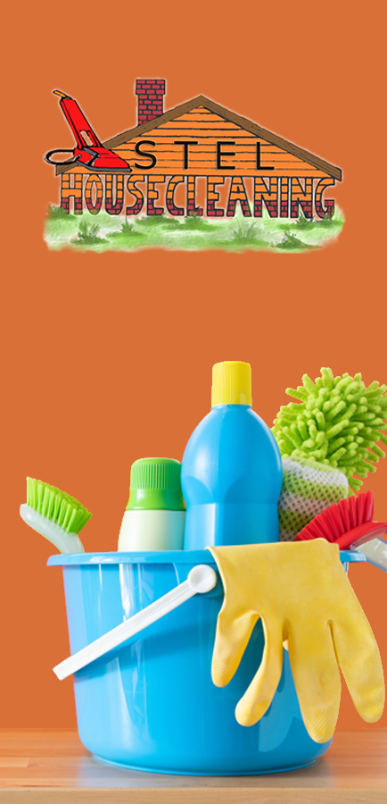 Cleaning Bucket, Stel Housecleaning Logo on Orange Background