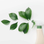 Spray bottle representing green cleaning. Spraying leaves.