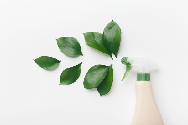 Spray bottle representing green cleaning. Spraying leaves.